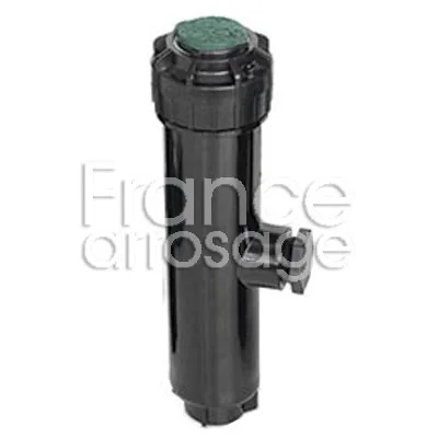 Arroseur escamotable RAINBIRD 5006 + PC SAM (40° à 360°)